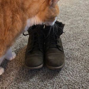 Green Steve Madden ankle boots